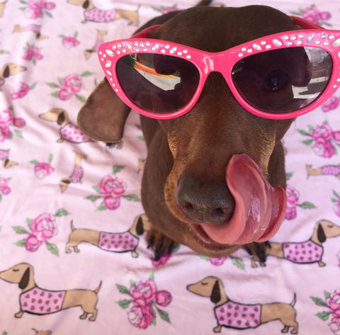 Dachshund Mother's Day Pink Floral Blanket, The Smoothe Store