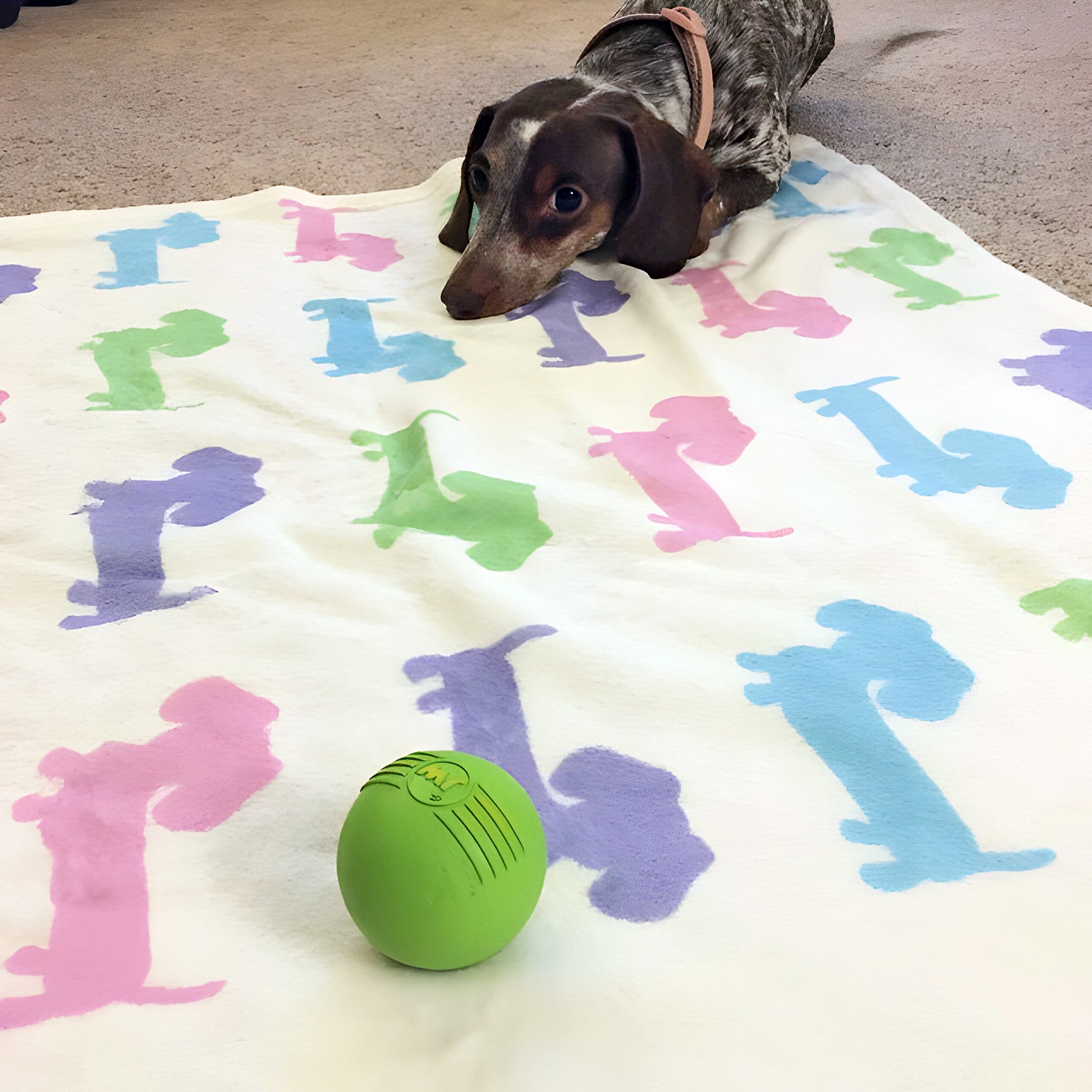 Pastel Doxies Fleece Blanket
