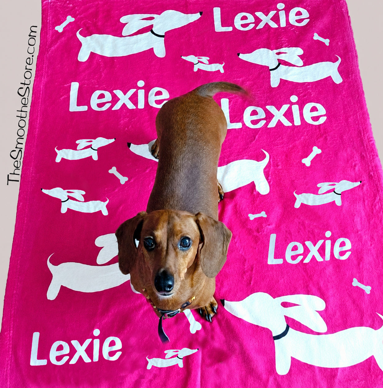 Personalized Dachshund Fleece Blanket - Fly Ears Design