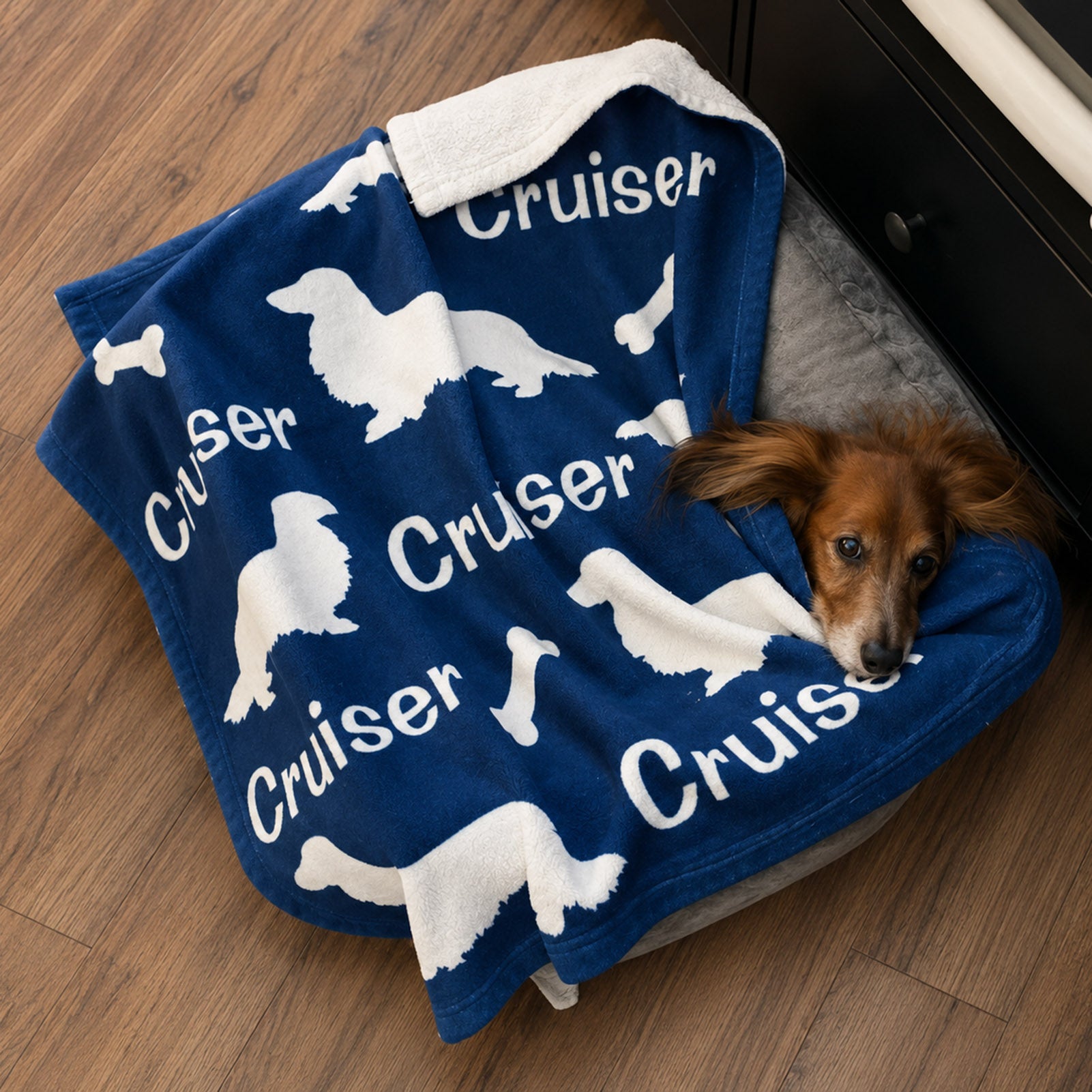 Long Hair Dachshund Personalized Fleece Blanket
