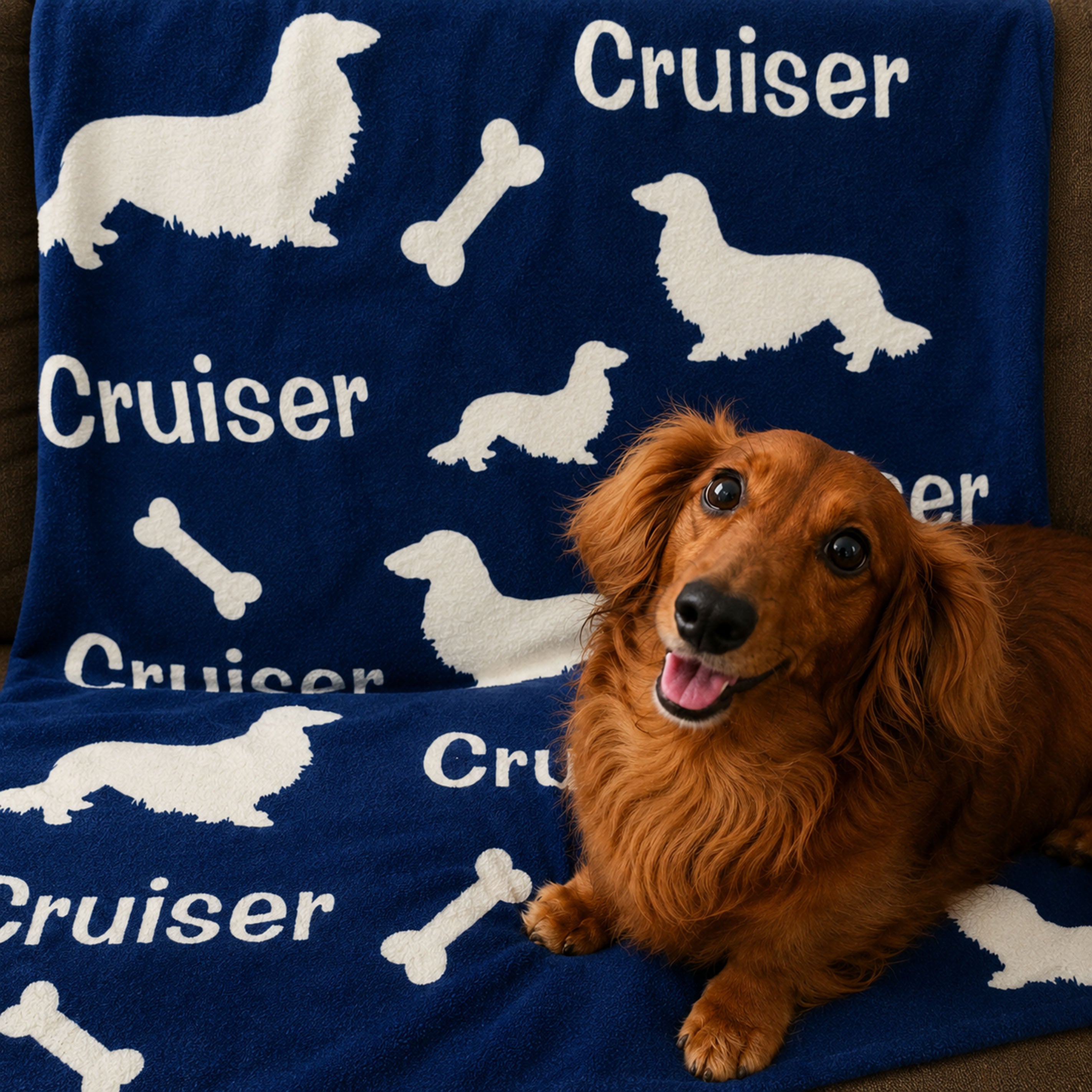 Long Hair Dachshund Personalized Fleece Blanket