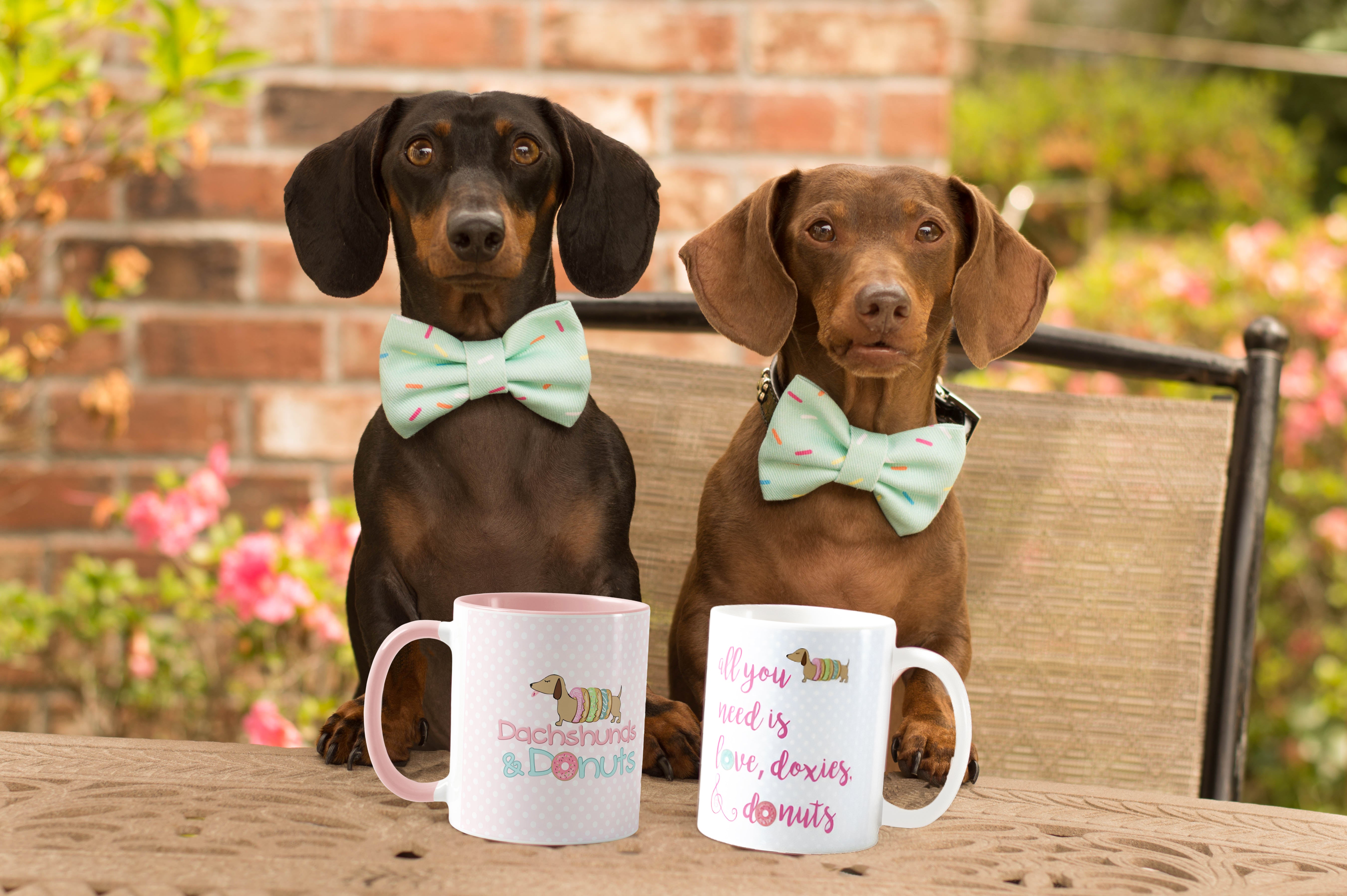 Dachshunds & Donuts Party Supplies and Gifts