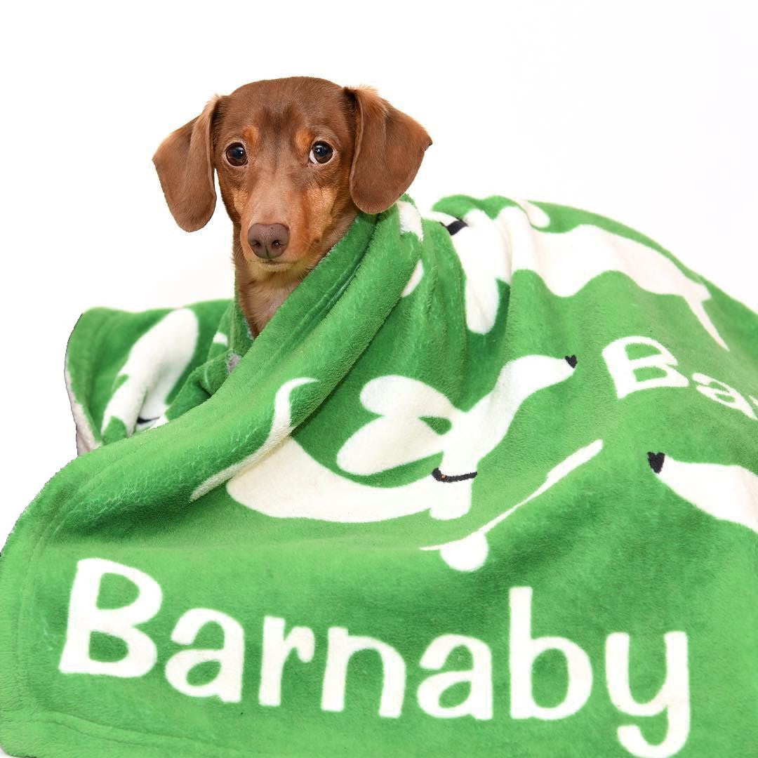 Personalized Dachshund Fleece Blanket - Fly Ears Design