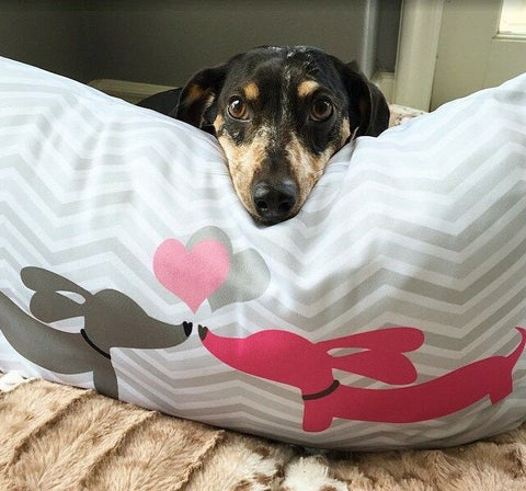 Kissing Dachshunds Pillow - Puppy Love, The Smoothe Store