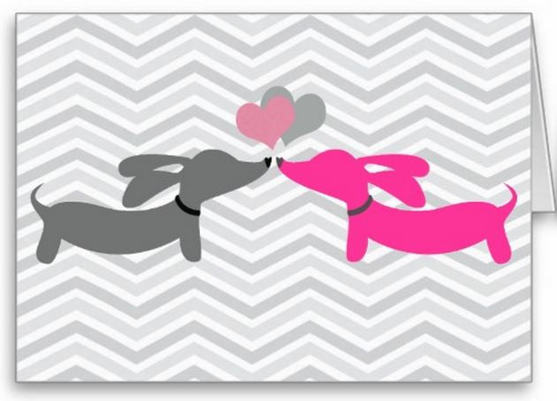 Dachshund Greeting Cards Variety Pack, The Smoothe Store