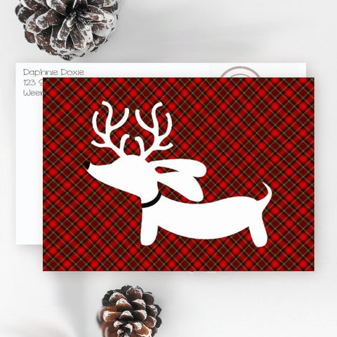 Plaid Dachshund Christmas Cards