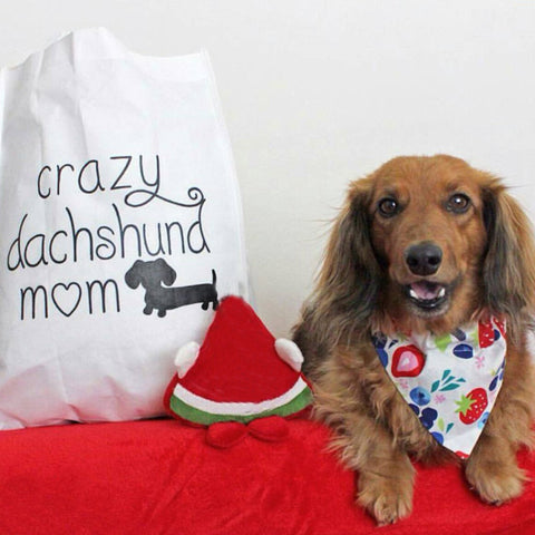 Crazy Dachshund Mom Tote Bags, The Smoothe Store