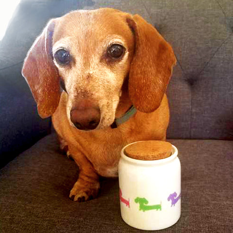 Wiener Dog Dachshund Treat Jar