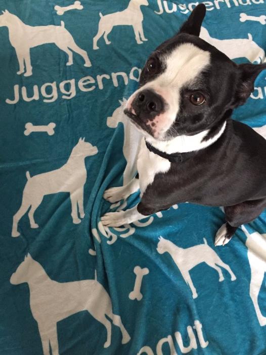 Lots of Breeds - Personalized Dog Blanket, The Smoothe Store