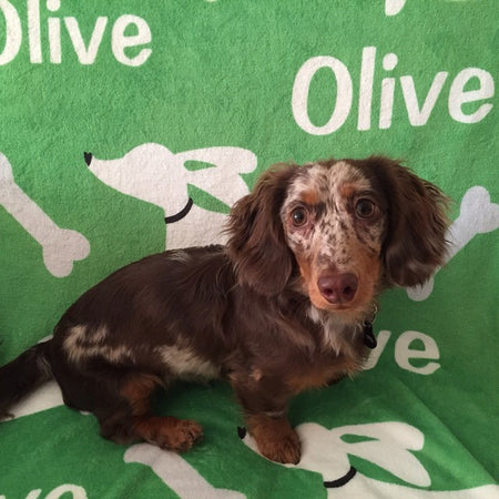 Personalized Dachshund Fleece Blanket, The Smoothe Store