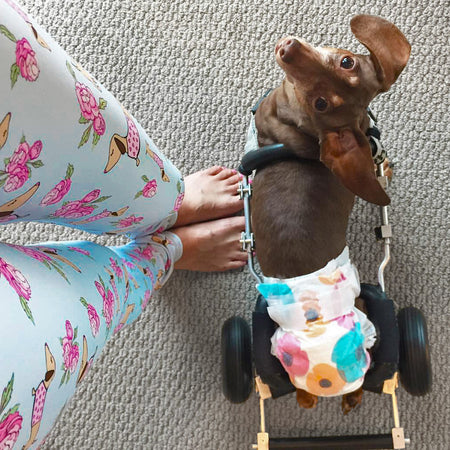 Wiener Dog Floral Leggings, The Smoothe Store