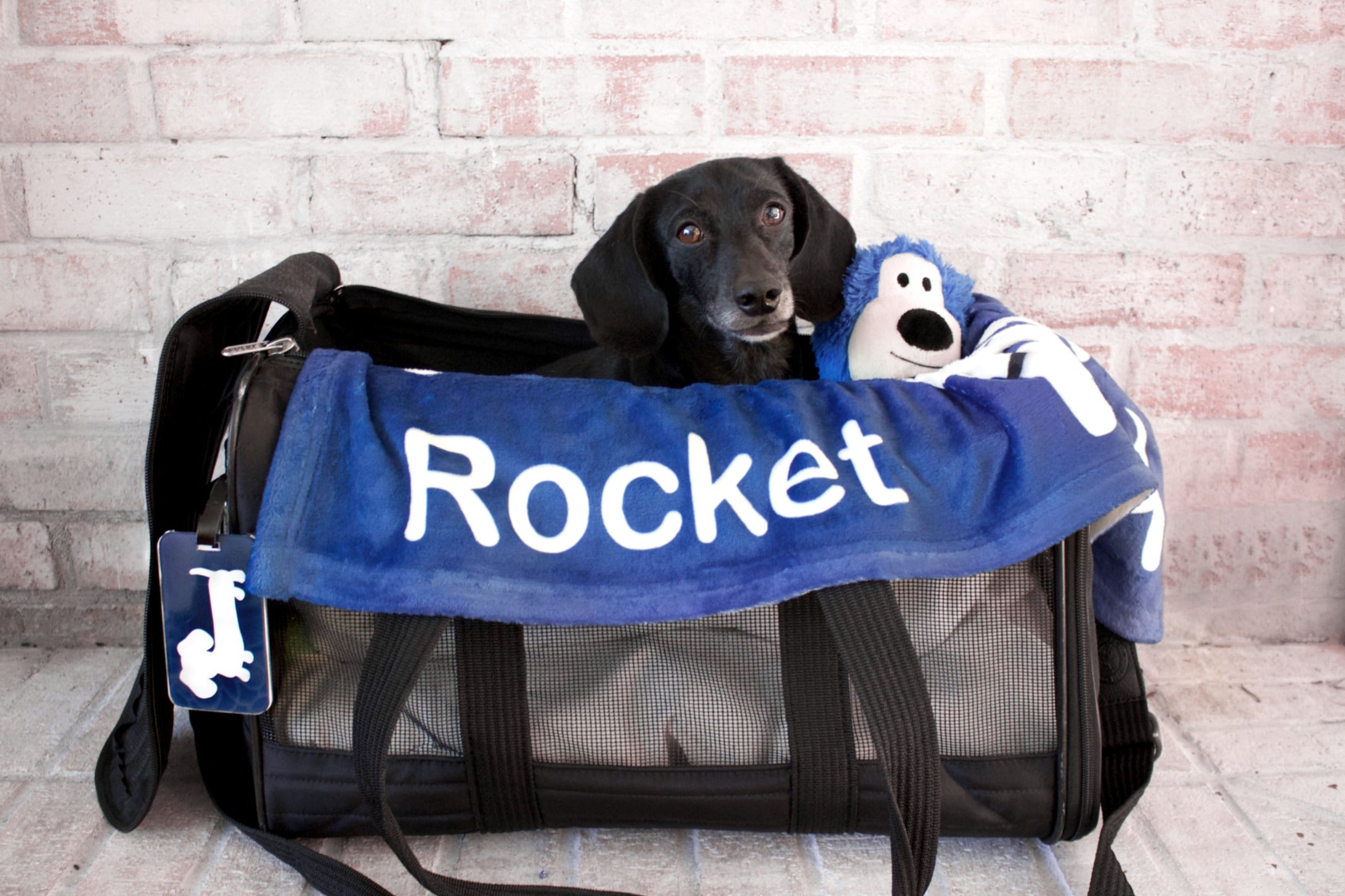 Personalized Dachshund Fleece Blanket