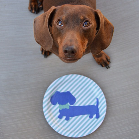 Dachshund Party Paper Plates with Blue Bow Ties