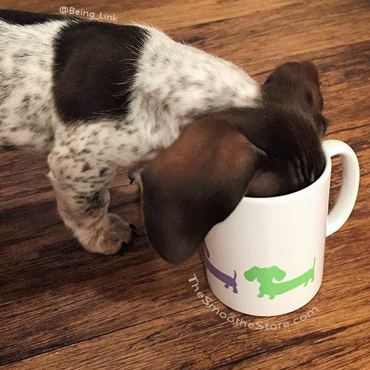 Dachshund Coffee Mugs, The Smoothe Store