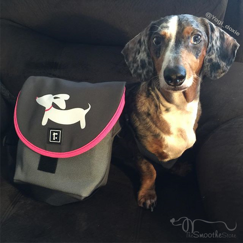 Small Dachshund Messenger Bag, The Smoothe Store