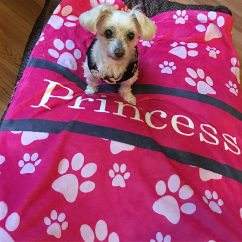 Personalized Dog Blanket - Paw Prints, The Smoothe Store