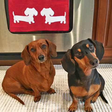 Dachshund Kitchen Dish Towels