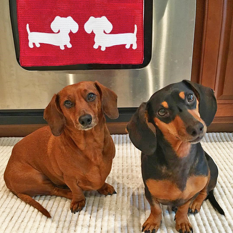 Wiener Dog Stuff and Dachshund Gift Ideas The Smoothe Store