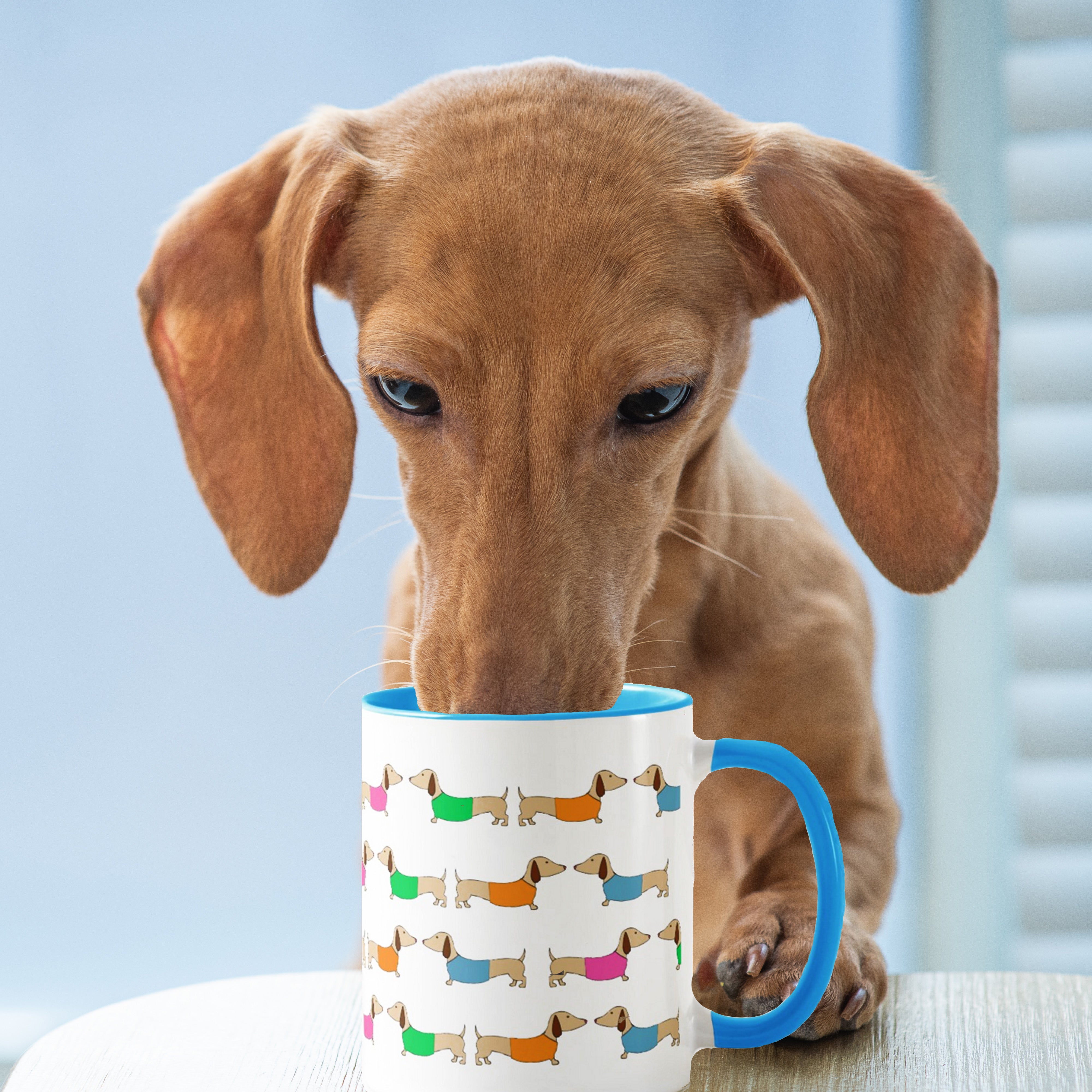 Dachshund Colorful Coffee Mugs - Main Image