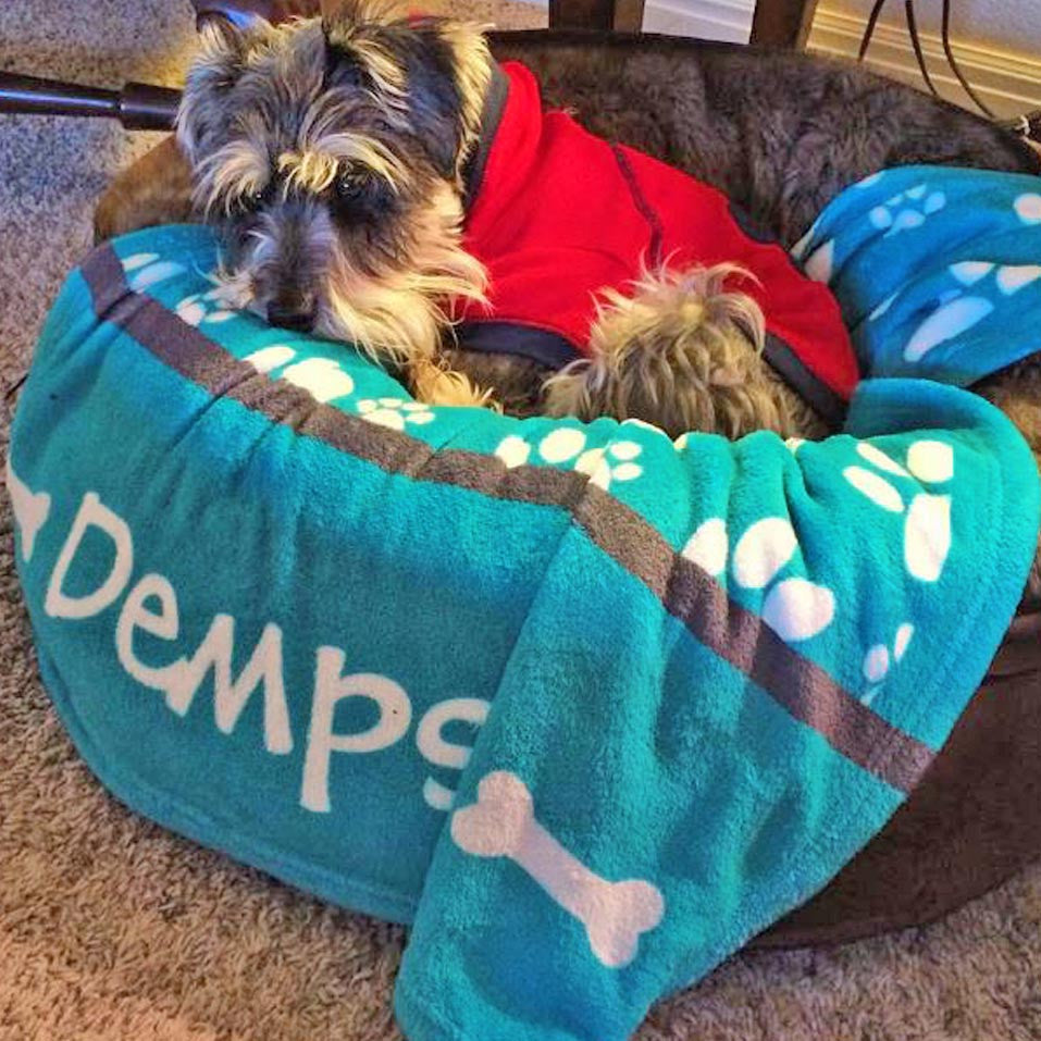 Personalized Dog Blanket - Paw Prints, The Smoothe Store
