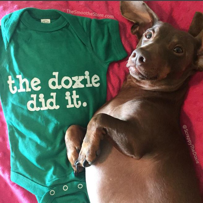 The Doxie Did It | One Piece Baby Onesie, The Smoothe Store
