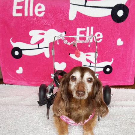 Wheelie Dog IVDD Blanket, The Smoothe Store