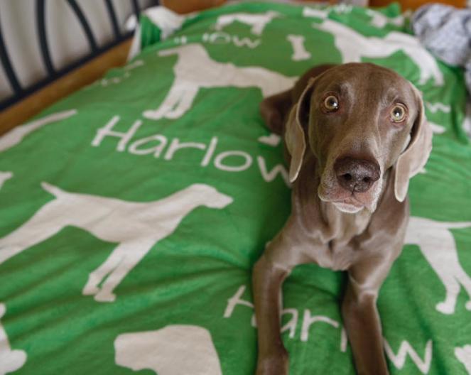 Lots of Breeds - Personalized Dog Blanket, The Smoothe Store