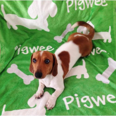 Personalized Dachshund Fleece Blanket, The Smoothe Store