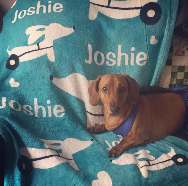 Personalized Dachshund Blankets