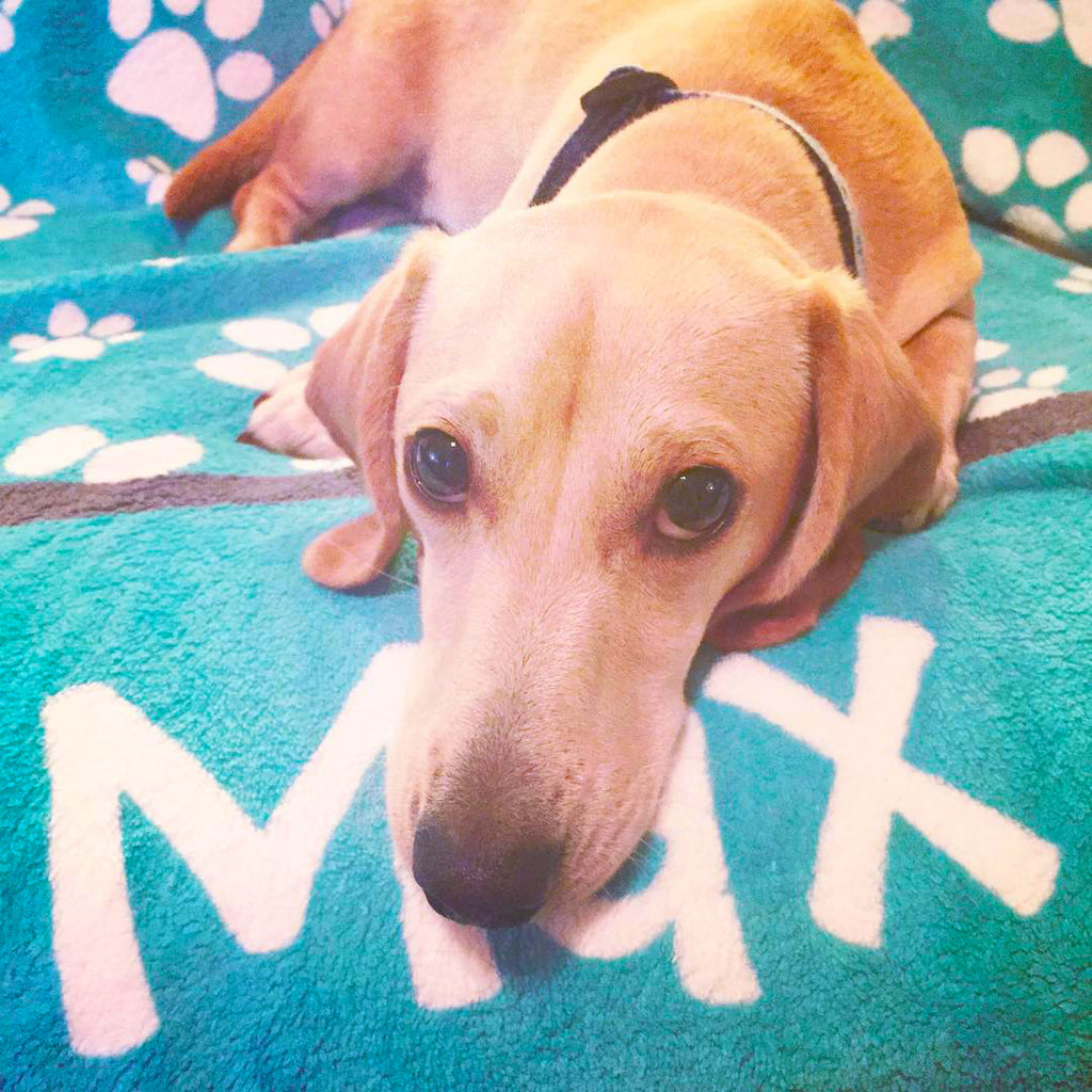 Personalized Dog Blanket - Paw Prints