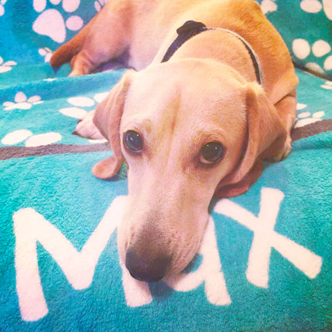 Personalized Dog Blanket - Paw Prints