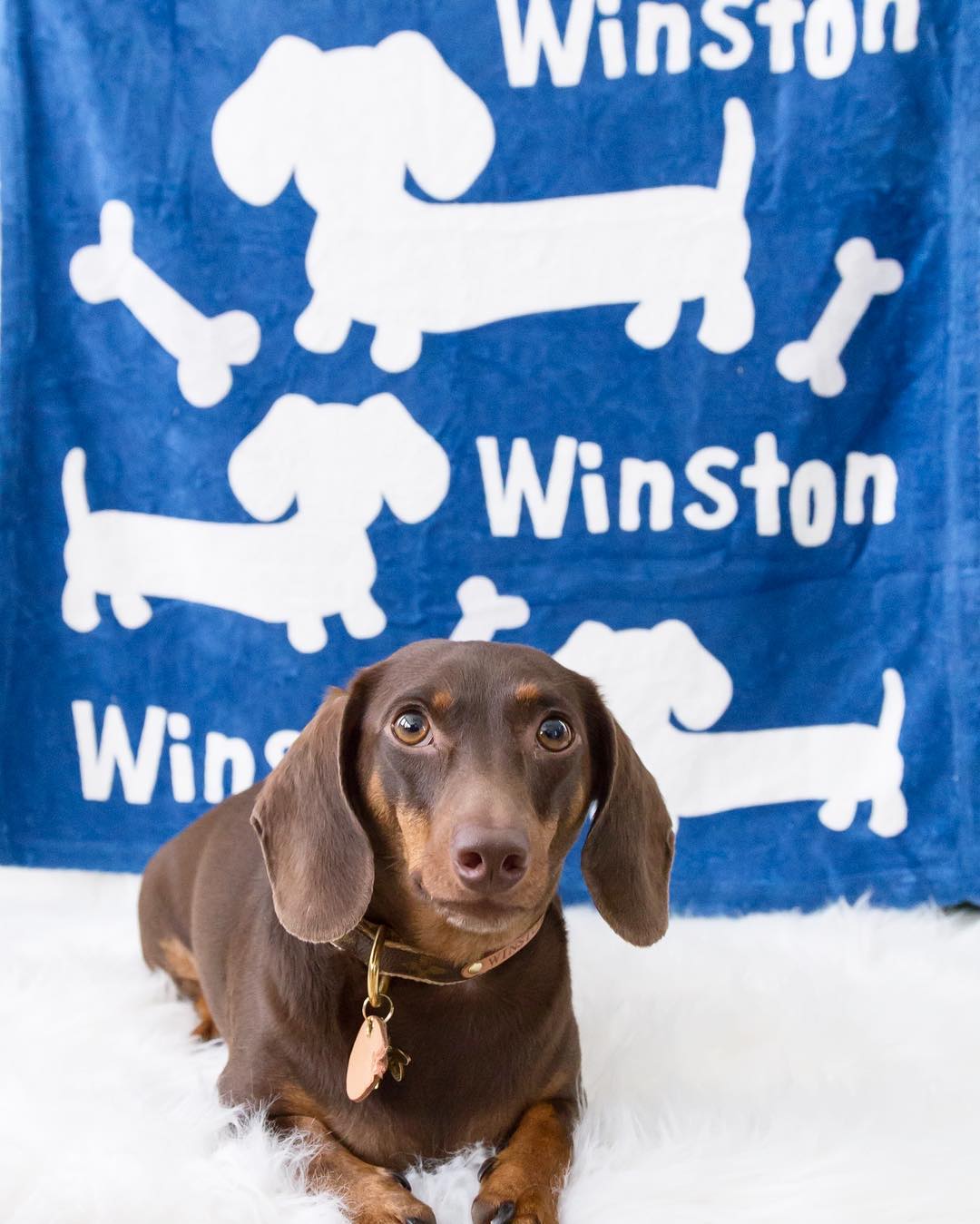 Personalized Dachshund Fleece Blanket